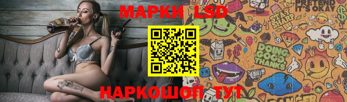 блэк спрут онион  ЛСД экстази ecstasy  Богородицк  LSD-25 экстази ecstasy 