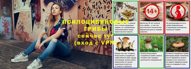 Псилоцибиновые грибы Magic Shrooms  закладка  Богородицк 