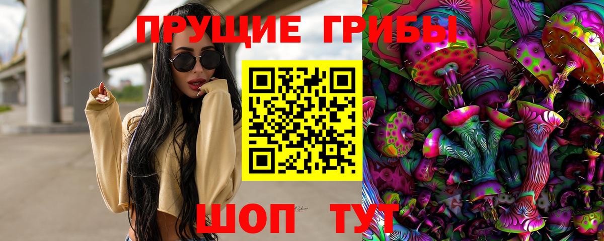 Псилоцибиновые грибы Psilocybe  Псилоцибиновые грибы Psilocybe  Вход с VPN  Богородицк 