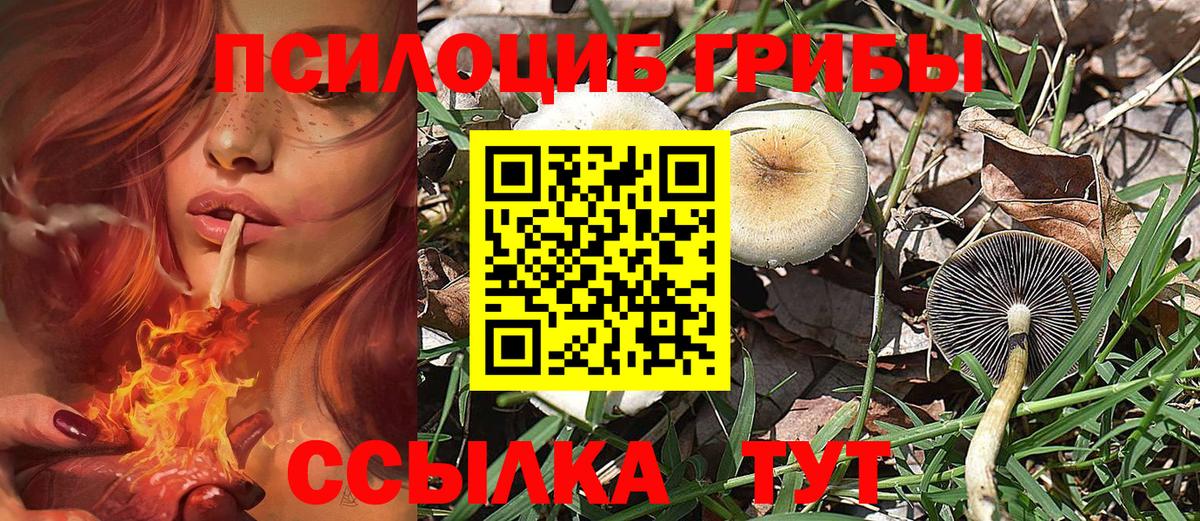 Галлюциногенные грибы MAGIC MUSHROOMS  Богородицк 